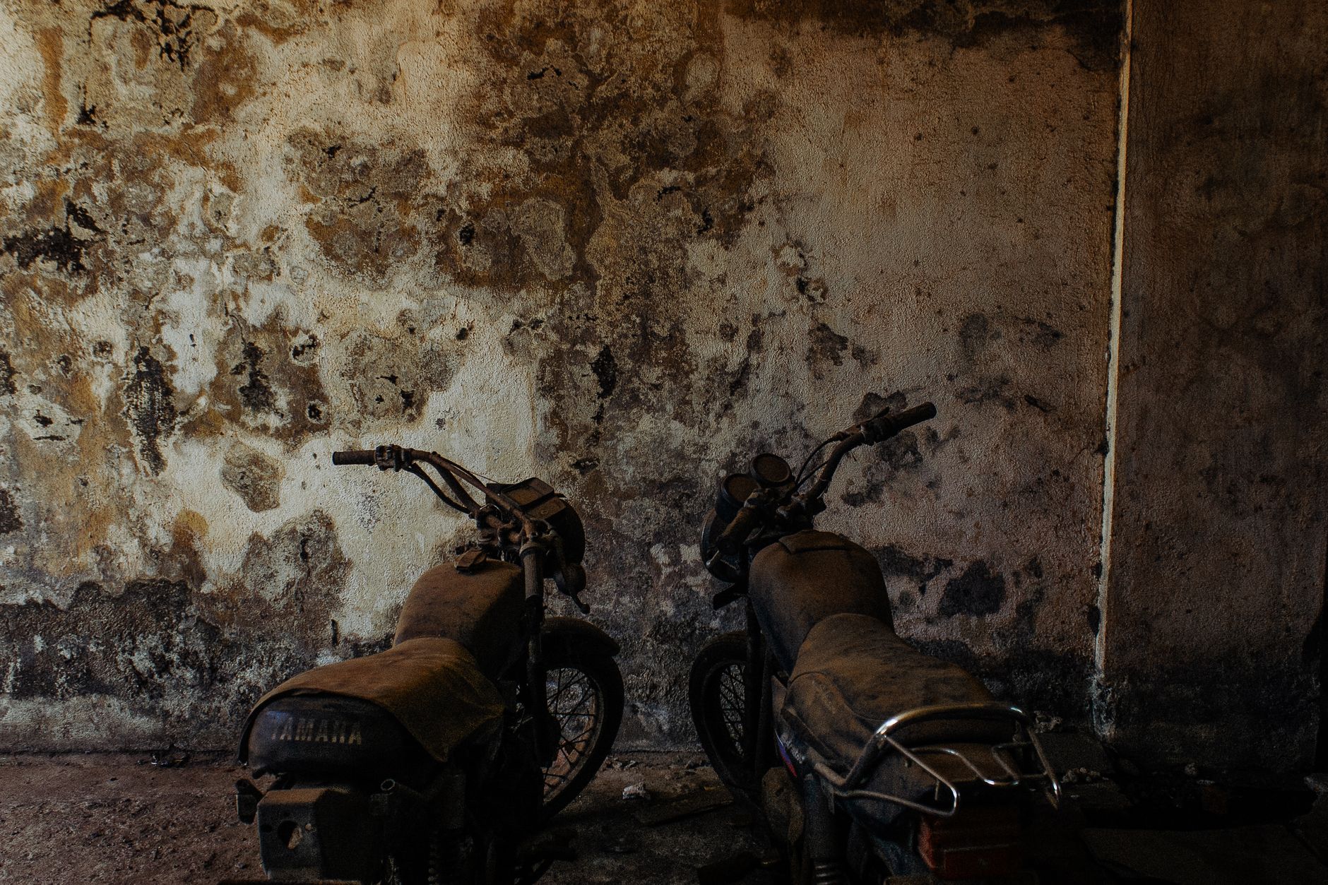 Waking Up a Motorcycle That's Been Sitting for Years: The Real Order to Do Things In