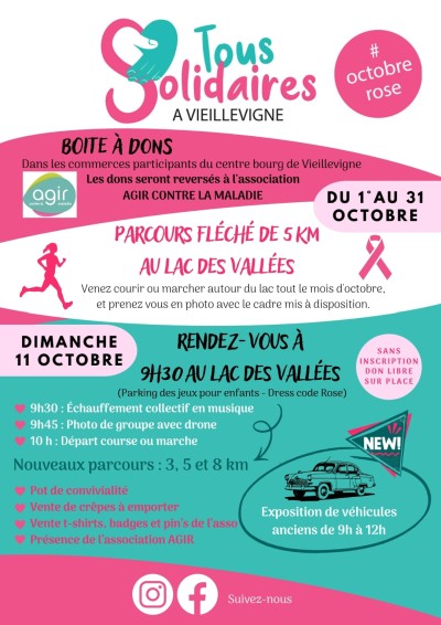 Rassemblement de véhicules anciens