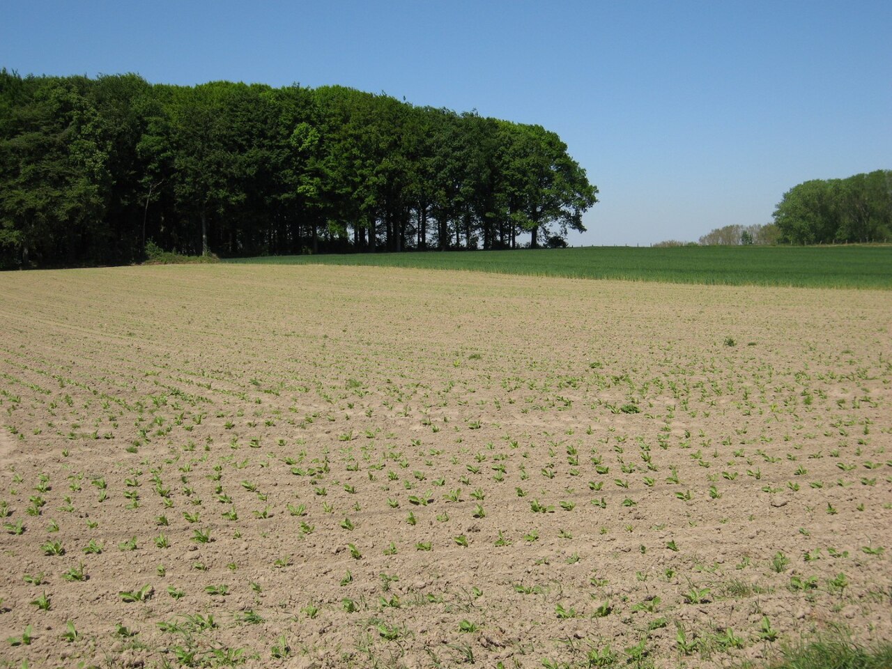 Tussen Leie en Schelde