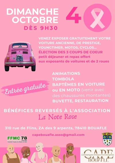 Voitures anciennes, de prestige et des youngtimers