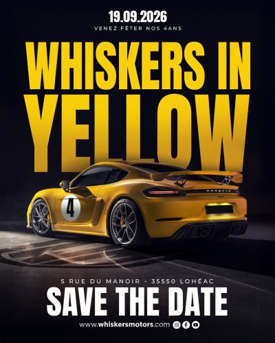 Whiskers in Yellow